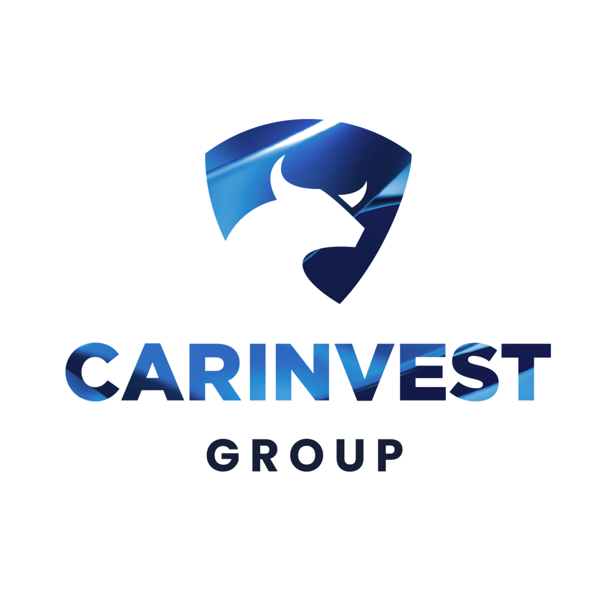 CARINVEST GROUP